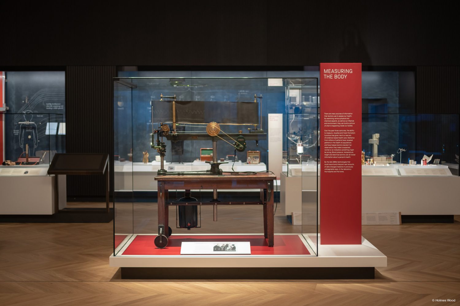 Medine: The Wellcome Galleries, Science Museum. Interpretation and panels. Arts and Heritage.